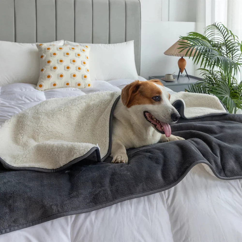 Waterproof Pet Blanket Reversible 40x30 Throw Protects Couch, Car, and Bed from Spills, Stains, or Fur Dog and Cat Blankets (Gray)