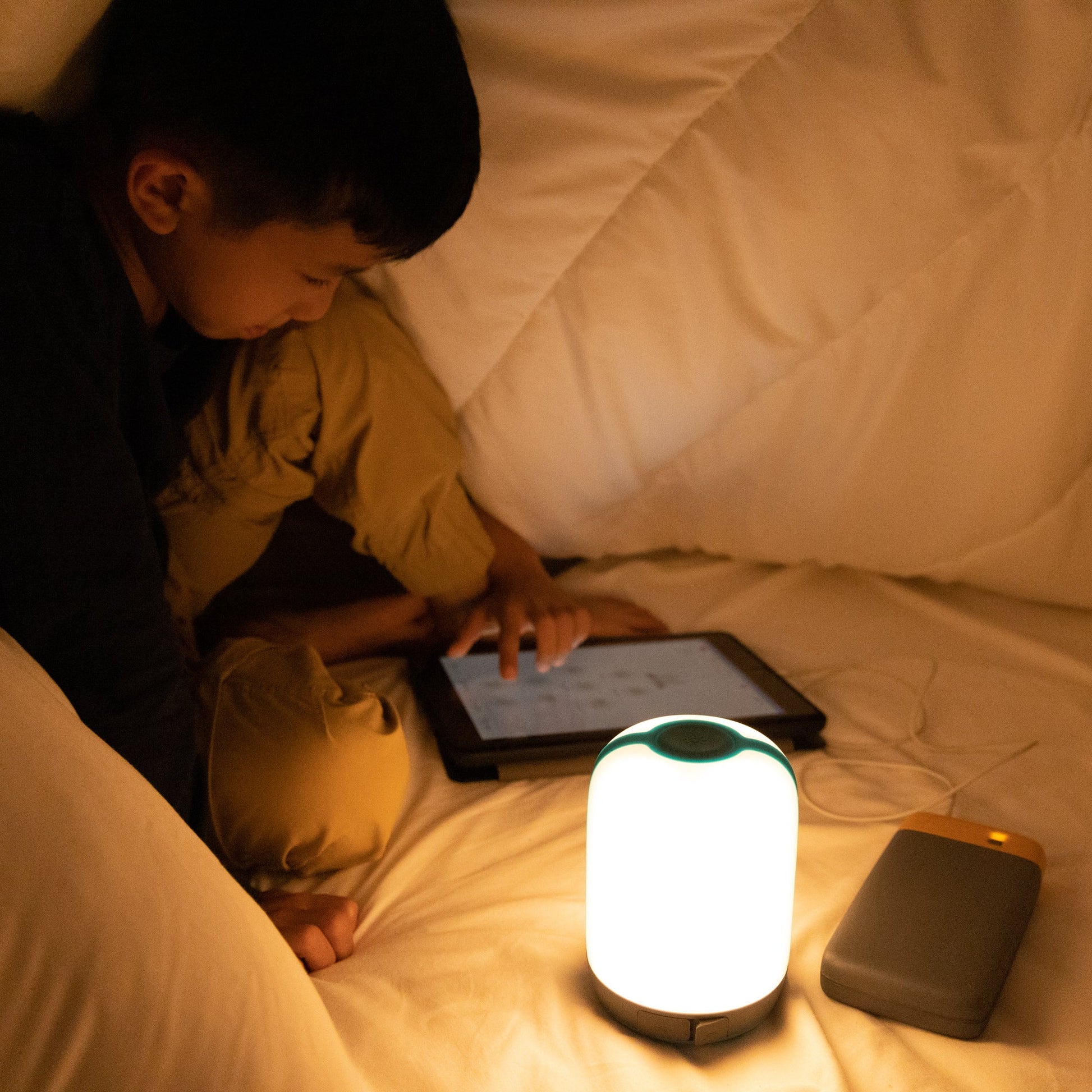 BaseCharge Home Emergency Kit