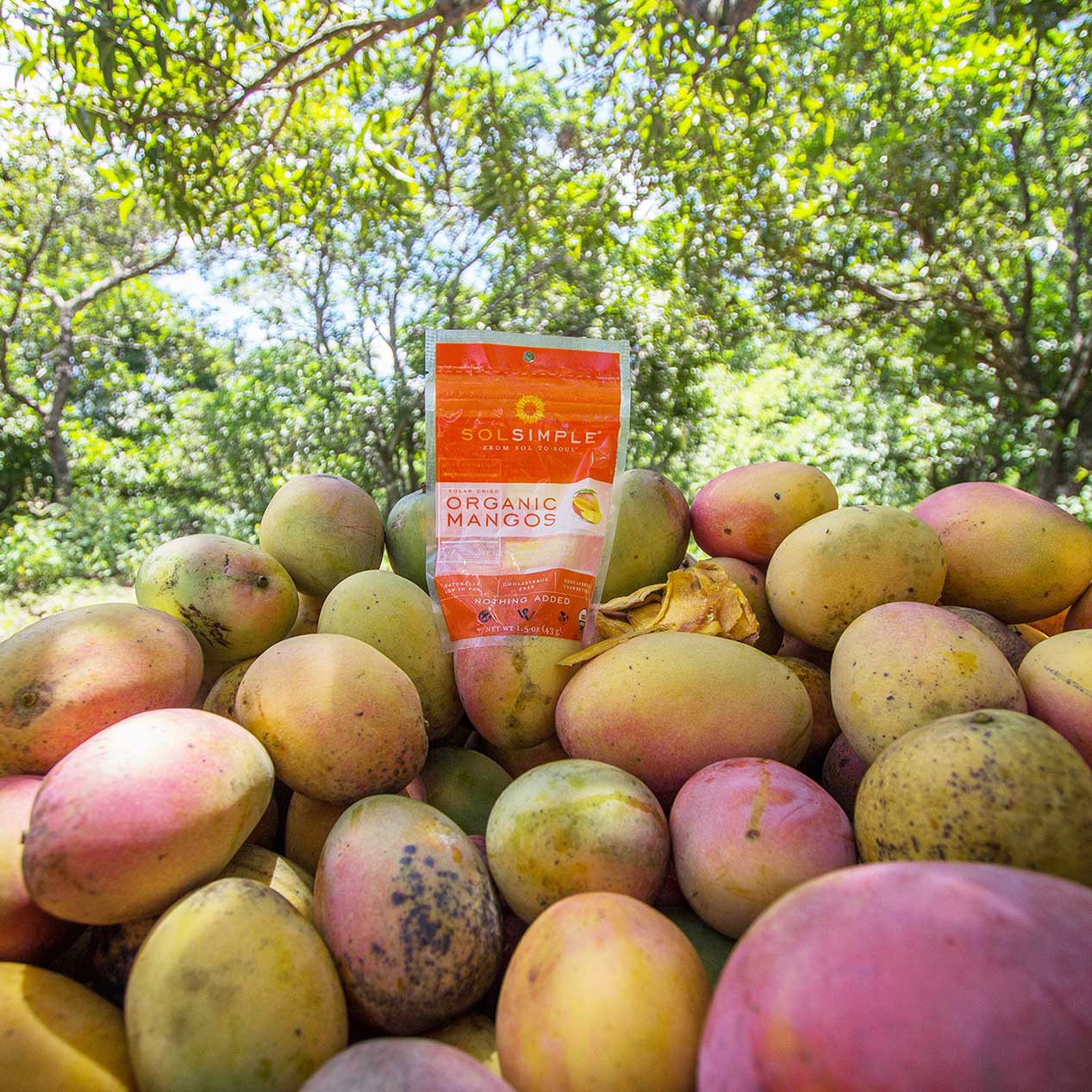 Regenerative Organic Certified Solar Dried Mango (6oz)