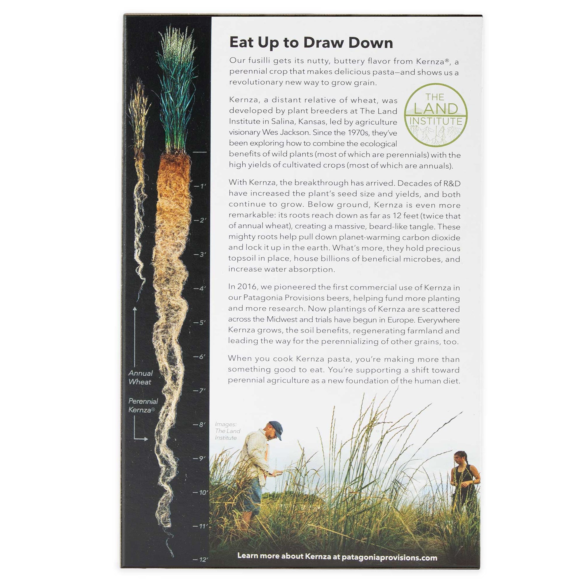 Organic Kernza® Fusilli